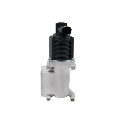 46535796 OE Kvalitet EGR-ventil for FIAT-motorer ERA: 555029