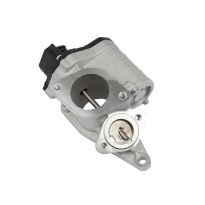 8200850755 Eksosresirkulasjonsventil for RENAULT ERA: 555202