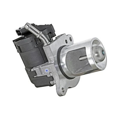En 642 140 21 60 OEM standard EGR-ventil for MERCEDES-BENZ